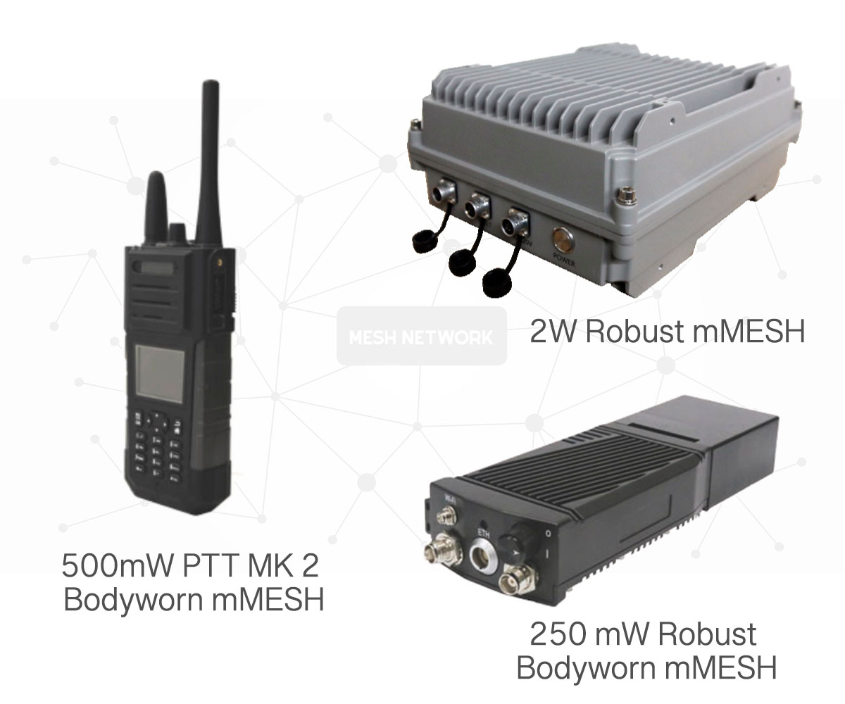 Wireless Mesh Network - an overview